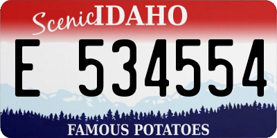 ID license plate E534554