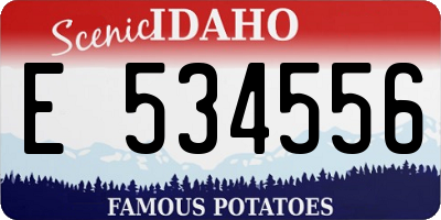 ID license plate E534556