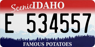ID license plate E534557