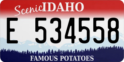 ID license plate E534558