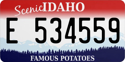 ID license plate E534559