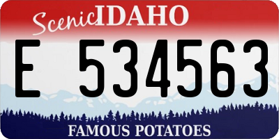 ID license plate E534563