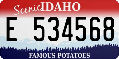 ID license plate E534568