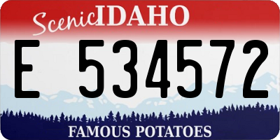 ID license plate E534572