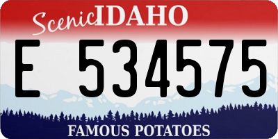 ID license plate E534575
