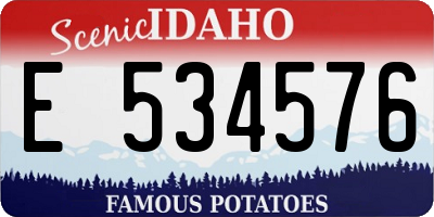 ID license plate E534576