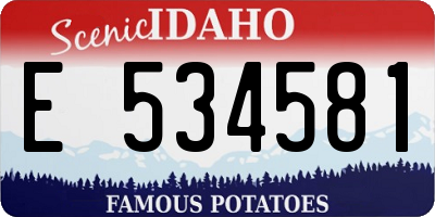 ID license plate E534581