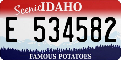 ID license plate E534582
