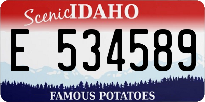 ID license plate E534589
