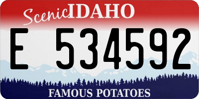 ID license plate E534592