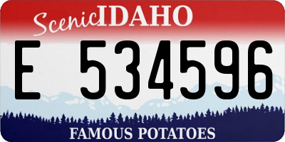 ID license plate E534596
