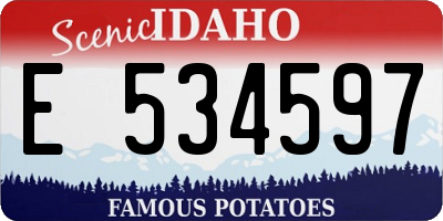 ID license plate E534597