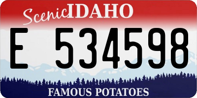ID license plate E534598