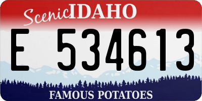 ID license plate E534613