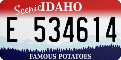 ID license plate E534614