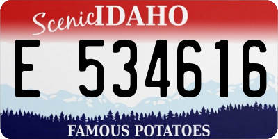 ID license plate E534616