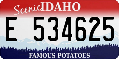 ID license plate E534625