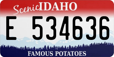 ID license plate E534636