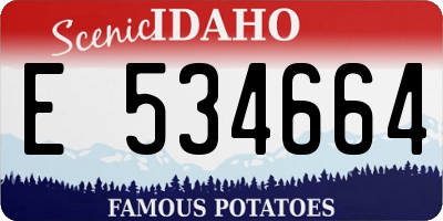 ID license plate E534664