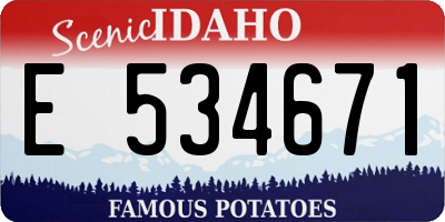ID license plate E534671