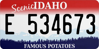 ID license plate E534673