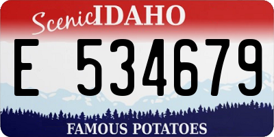 ID license plate E534679
