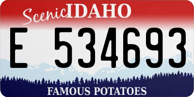 ID license plate E534693