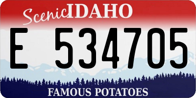 ID license plate E534705