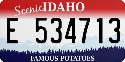 ID license plate E534713
