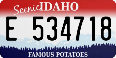 ID license plate E534718