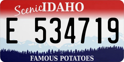 ID license plate E534719