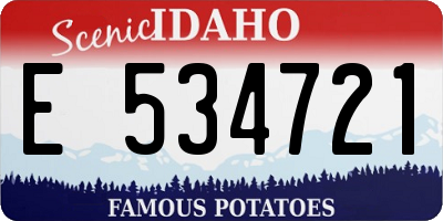 ID license plate E534721