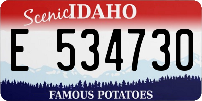 ID license plate E534730