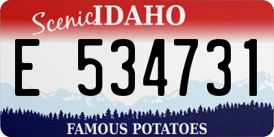 ID license plate E534731