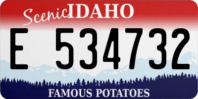 ID license plate E534732
