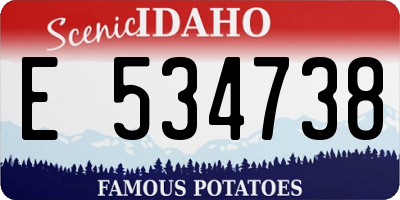 ID license plate E534738