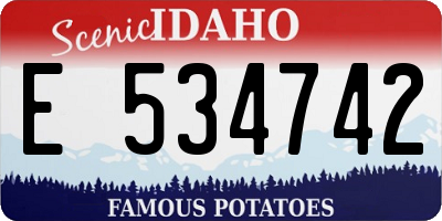 ID license plate E534742