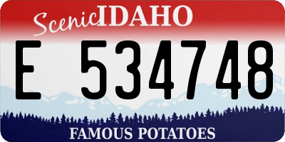 ID license plate E534748