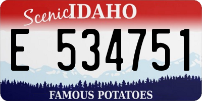ID license plate E534751