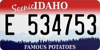 ID license plate E534753