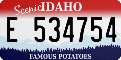 ID license plate E534754