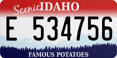 ID license plate E534756