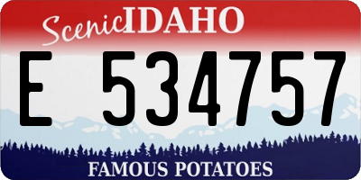 ID license plate E534757