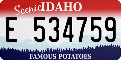 ID license plate E534759