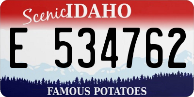 ID license plate E534762