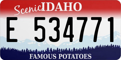 ID license plate E534771