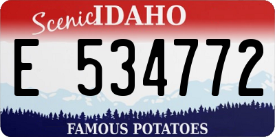 ID license plate E534772