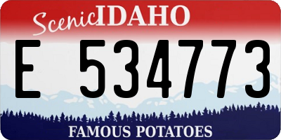 ID license plate E534773