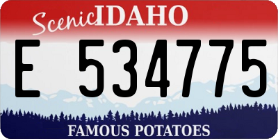 ID license plate E534775