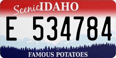 ID license plate E534784
